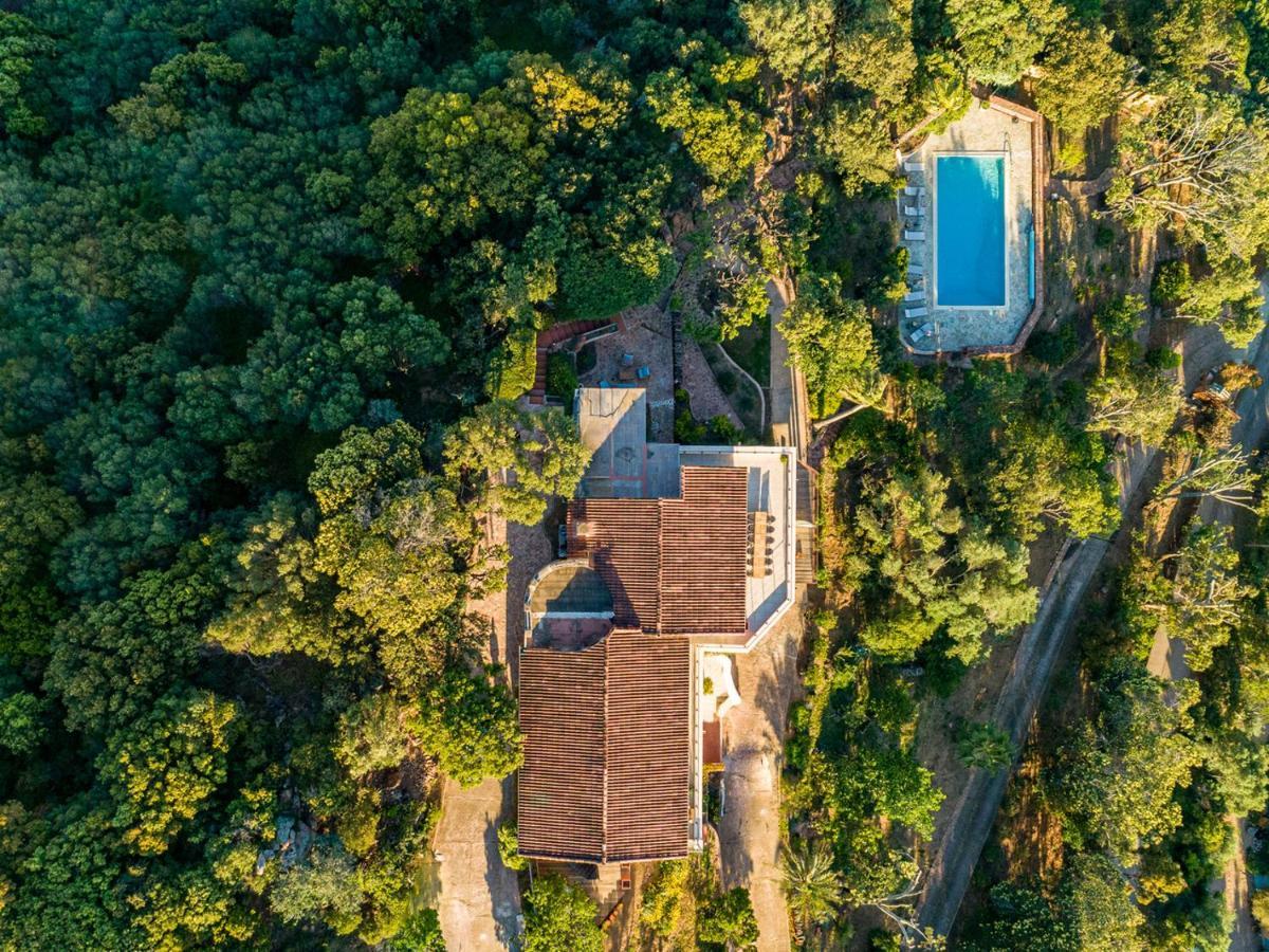 Villa L'Arbousiere Porto-Vecchio  Eksteriør bilde
