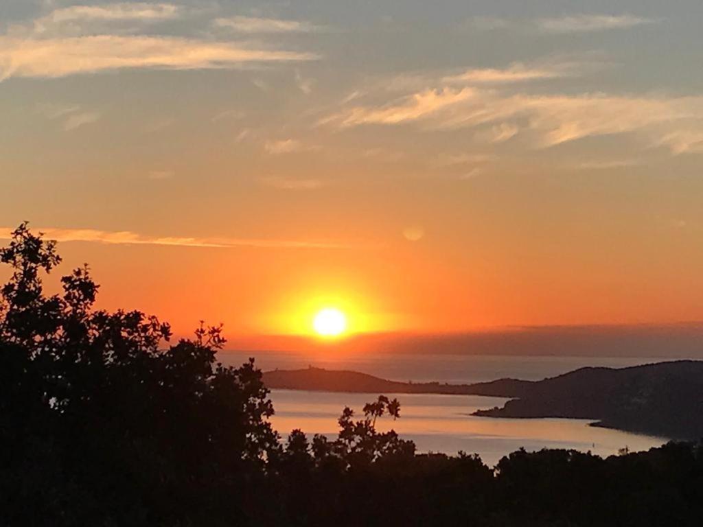 Villa L'Arbousiere Porto-Vecchio  Eksteriør bilde